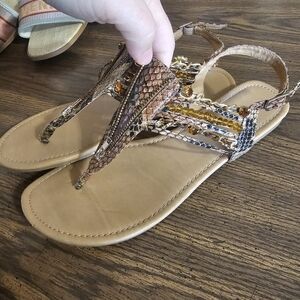 Elegant Tan and Brown Sandals